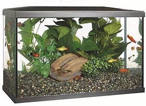 Marina-Kit de acuario